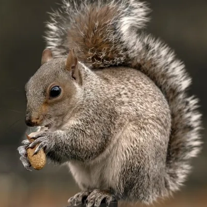 Ana paula grimaldi Sq90 UfVZXQ unsplash min 1.jpg (1)